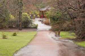 TER Botanics March 2013 41
