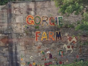 Gorgie CIty Farm