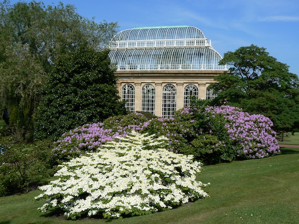 Royal Botanic Garden Edinburgh Palmhouse