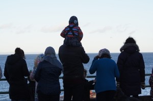 2013_02_11 Whale at Joppa 5