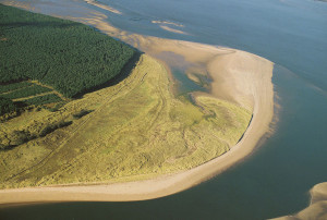 tentsmuir