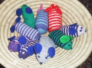 mrs mash mice knitting photo
