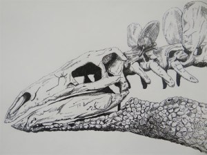 Stegasaurus by J Crozier, one of the 2013 winners in the over-21 section