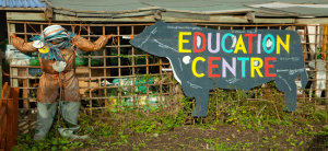 gorgie city farm education centre