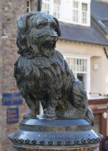 greyfriars bobby