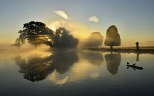 Breathing Spaces: Morning in Bushy Park, by Kassia Nowak