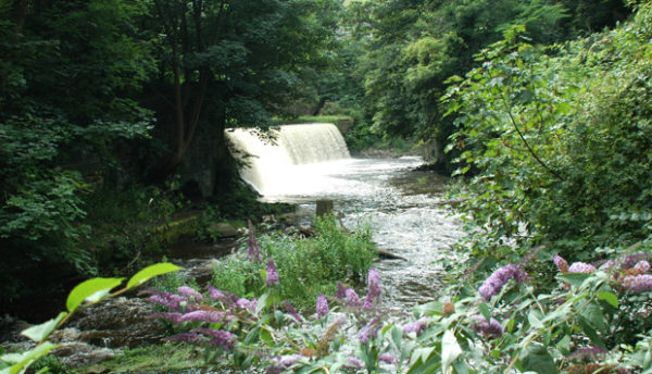 Dean Gardens