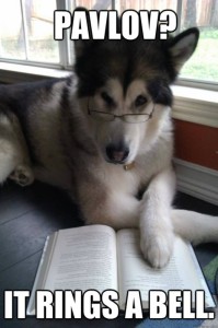 pavlov