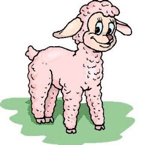 sheep clipart