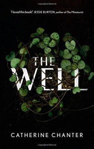 the well - cover