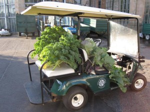 vegetables at botanics