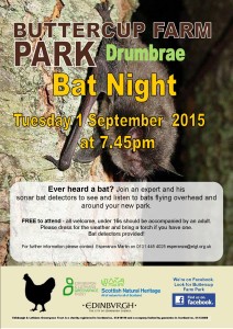 buttercup farm bat night poster