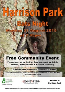 harrison park bats night