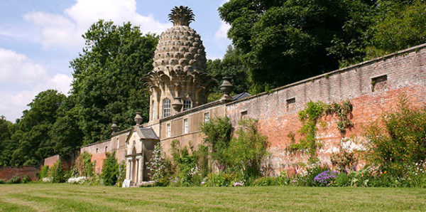 NT garden