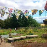ed college milton road community garden