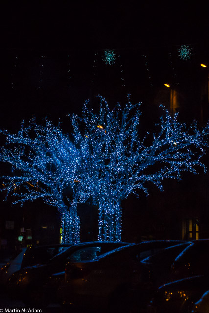 TER20151129DSC07721