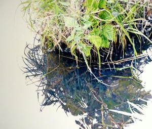 rachel mckean at bon p