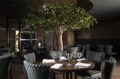 Dine with Stuart Muir Gets Set for Service