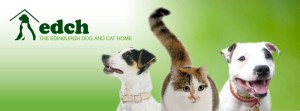 edinburgh cat and dog home EDCH