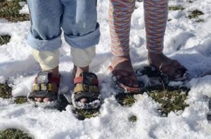 step in my shoes image