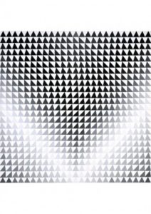 Bridget Riley Burn