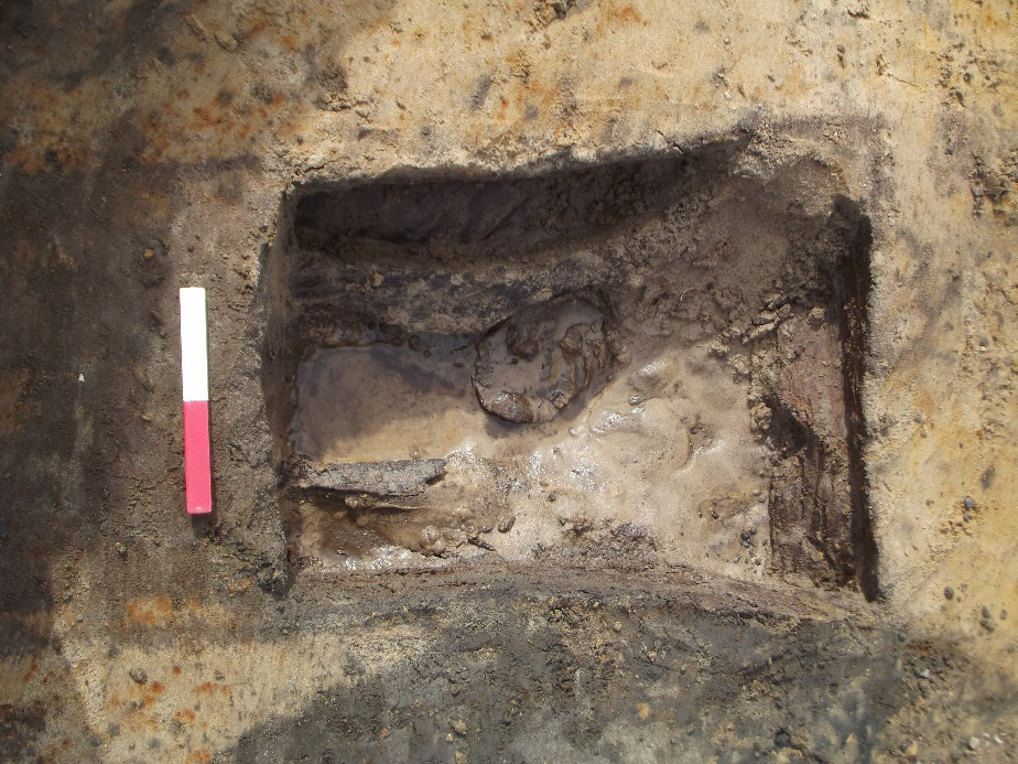 Partially excavated burial