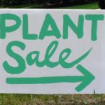 plant sale 2