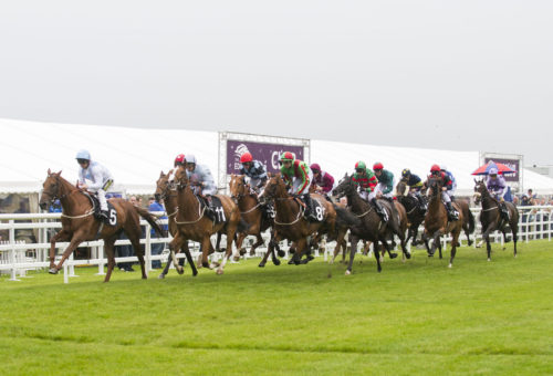 Musselburgh Racecoure: Edinburgh Cup