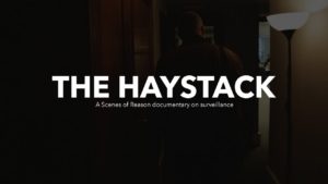the haystack