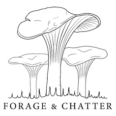 forage-and-chatter-small-copy-1